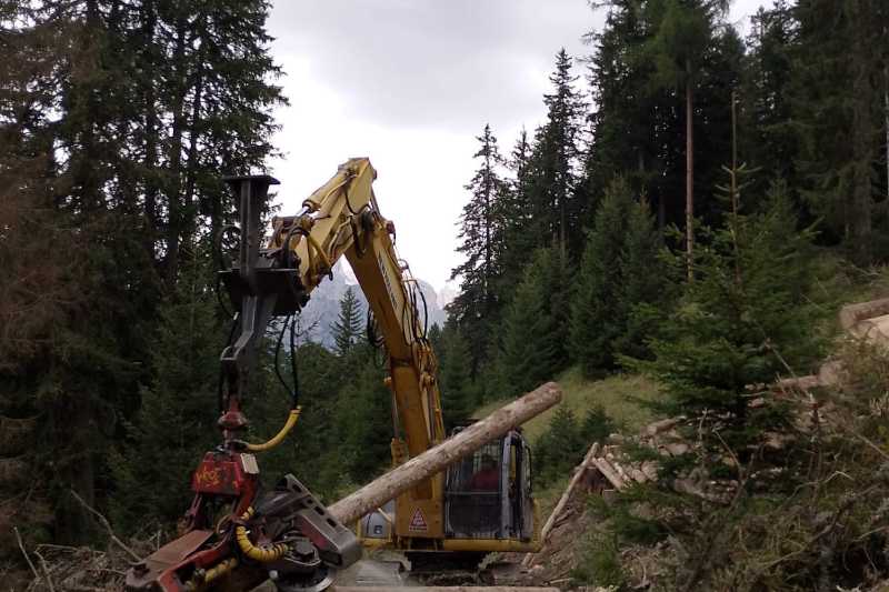 OmecoHub - Immagine NEW HOLLAND E245B